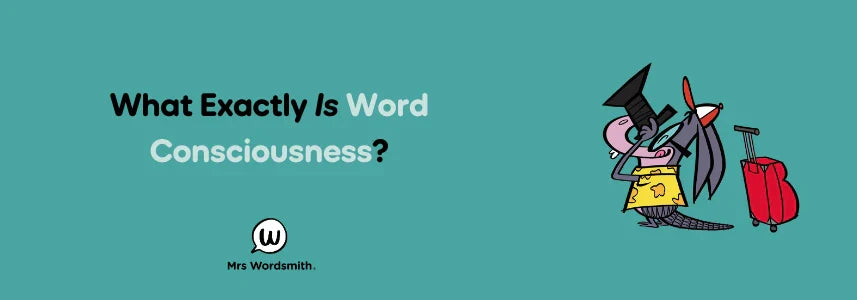 What Exactly *Is* Word Consciousness?
