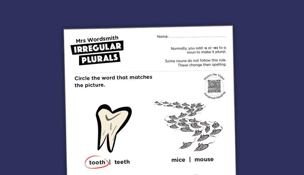 Irregular plural nouns