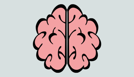 How does the brain learn to read?