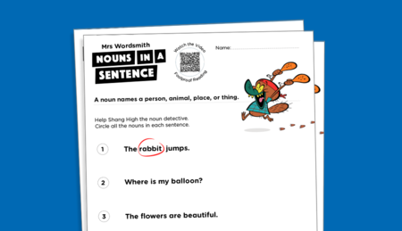 Nouns in a sentence