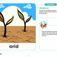 Curriculum Word Pack: Extreme Weather and Climate Zones